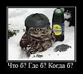 Нажмите на изображение для увеличения.

Название:	Филин на игре.jpg
Просмотров:	277
Размер:	40.8 Кб
ID:	3525363