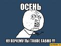 Нажмите на изображение для увеличения.

Название:	V.V. осенью.jpeg
Просмотров:	306
Размер:	41.1 Кб
ID:	3525414