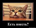 Нажмите на изображение для увеличения.

Название:	МР голоден.jpg
Просмотров:	237
Размер:	56.7 Кб
ID:	3525468
