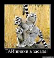 Нажмите на изображение для увеличения.

Название:	28.jpg
Просмотров:	1599
Размер:	50.1 Кб
ID:	3525667