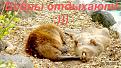 Нажмите на изображение для увеличения.

Название:	18.jpg
Просмотров:	4497
Размер:	138.5 Кб
ID:	3525741