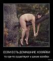 Нажмите на изображение для увеличения.

Название:	ww.jpeg
Просмотров:	679
Размер:	35.7 Кб
ID:	3526178