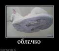 Нажмите на изображение для увеличения.

Название:	345575_oblachko.jpg
Просмотров:	313
Размер:	18.2 Кб
ID:	3526201