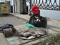Нажмите на изображение для увеличения.

Название:	DSC05204 (Копировать).jpg
Просмотров:	618
Размер:	150.8 Кб
ID:	3526287