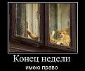 Нажмите на изображение для увеличения.

Название:	2.jpg
Просмотров:	1536
Размер:	48.5 Кб
ID:	3526529