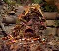 Нажмите на изображение для увеличения.

Название:	Trash_heap2.jpg
Просмотров:	279
Размер:	100.0 Кб
ID:	3526659
