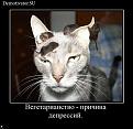 Нажмите на изображение для увеличения.

Название:	1.jpg
Просмотров:	1224
Размер:	89.1 Кб
ID:	3526687