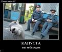 Нажмите на изображение для увеличения.

Название:	5.jpg
Просмотров:	1176
Размер:	101.5 Кб
ID:	3526691