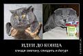 Нажмите на изображение для увеличения.

Название:	15.jpg
Просмотров:	1103
Размер:	36.7 Кб
ID:	3526700