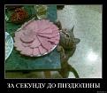 Нажмите на изображение для увеличения.

Название:	28.jpg
Просмотров:	1368
Размер:	72.3 Кб
ID:	3526710