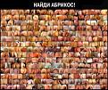 Нажмите на изображение для увеличения.

Название:	www_bibka_ru_2005120211685.jpg
Просмотров:	369
Размер:	47.6 Кб
ID:	3526731