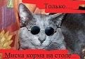 Нажмите на изображение для увеличения.

Название:	Саня.jpg
Просмотров:	243
Размер:	58.4 Кб
ID:	3526783