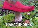 Нажмите на изображение для увеличения.

Название:	getImage.jpeg4.jpeg
Просмотров:	1271
Размер:	88.7 Кб
ID:	3526829