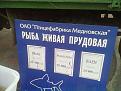 Нажмите на изображение для увеличения.

Название:	щурята 2s.jpg
Просмотров:	623
Размер:	168.1 Кб
ID:	3526877