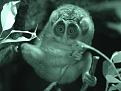 Нажмите на изображение для увеличения.

Название:	Zoo_26.jpg
Просмотров:	293
Размер:	86.9 Кб
ID:	3527243