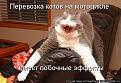 Нажмите на изображение для увеличения.

Название:	ZKw0WX0iW7o.jpg
Просмотров:	1735
Размер:	62.5 Кб
ID:	3527400