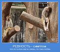 Нажмите на изображение для увеличения.

Название:	motivator-38915.jpg
Просмотров:	380
Размер:	76.4 Кб
ID:	3527438
