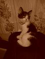 Нажмите на изображение для увеличения.

Название:	20120927_112806.jpg
Просмотров:	562
Размер:	106.5 Кб
ID:	3531857