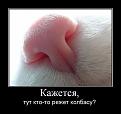 Нажмите на изображение для увеличения.

Название:	dem-042.jpg
Просмотров:	305
Размер:	42.3 Кб
ID:	3531958
