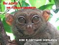 Нажмите на изображение для увеличения.

Название:	опять каракова)).jpg
Просмотров:	276
Размер:	123.9 Кб
ID:	3531999