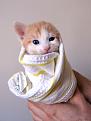 Нажмите на изображение для увеличения.

Название:	1304265844_funny_cats_47.jpg
Просмотров:	336
Размер:	24.0 Кб
ID:	3532482
