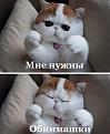 Нажмите на изображение для увеличения.

Название:	f_6e664d04e5452a4b9f2bec33e041af2b4f0435b6.jpg
Просмотров:	277
Размер:	55.9 Кб
ID:	3532486