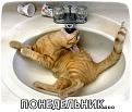 Нажмите на изображение для увеличения.

Название:	f_b25fe1918b3cf5be63f3356f2a1cae922d1fafb1.jpg
Просмотров:	293
Размер:	45.5 Кб
ID:	3532487