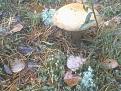 Нажмите на изображение для увеличения.

Название:	13102012172.jpg
Просмотров:	862
Размер:	132.4 Кб
ID:	3533371