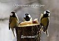 Нажмите на изображение для увеличения.

Название:	182008_394419.jpg
Просмотров:	305
Размер:	40.0 Кб
ID:	3533378