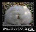 Нажмите на изображение для увеличения.

Название:	1285610588_1258136609_3.jpg
Просмотров:	326
Размер:	23.7 Кб
ID:	3533633