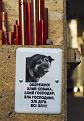 Нажмите на изображение для увеличения.

Название:	8.jpg
Просмотров:	295
Размер:	81.1 Кб
ID:	3533707