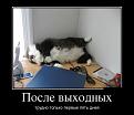 Нажмите на изображение для увеличения.

Название:	f_60ea07f7f0a5aa69e53a4ba93dd59070ad665dde.jpg
Просмотров:	441
Размер:	31.2 Кб
ID:	3534112