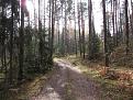 Нажмите на изображение для увеличения.

Название:	IMG_3115_s.jpg
Просмотров:	1659
Размер:	205.3 Кб
ID:	3534161