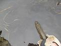 Нажмите на изображение для увеличения.

Название:	SDC11248.jpg
Просмотров:	1505
Размер:	43.5 Кб
ID:	3534764