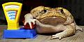 Нажмите на изображение для увеличения.

Название:	Fun_animals_5.jpg
Просмотров:	306
Размер:	81.7 Кб
ID:	3534774