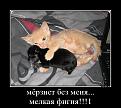 Нажмите на изображение для увеличения.

Название:	myorznet-bez-menya_1334840003.jpg
Просмотров:	265
Размер:	51.9 Кб
ID:	3534808