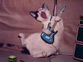 Нажмите на изображение для увеличения.

Название:	cot_gitarist.jpg
Просмотров:	316
Размер:	17.3 Кб
ID:	3534889