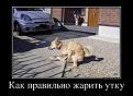 Нажмите на изображение для увеличения.

Название:	1111.jpg
Просмотров:	1713
Размер:	60.5 Кб
ID:	3534983