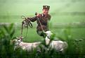 Нажмите на изображение для увеличения.

Название:	pastux-02.jpg
Просмотров:	590
Размер:	26.7 Кб
ID:	3535354