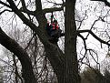 Нажмите на изображение для увеличения.

Название:	IMG_5421.jpg
Просмотров:	528
Размер:	213.2 Кб
ID:	3535444
