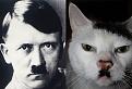 Нажмите на изображение для увеличения.

Название:	mhSnQGgrSpY.jpg
Просмотров:	1830
Размер:	29.7 Кб
ID:	3539890