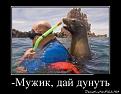 Нажмите на изображение для увеличения.

Название:	2.jpg
Просмотров:	1627
Размер:	122.4 Кб
ID:	3540545
