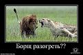 Нажмите на изображение для увеличения.

Название:	getImage3.jpg
Просмотров:	335
Размер:	44.9 Кб
ID:	3540641