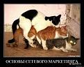 Нажмите на изображение для увеличения.

Название:	1276549673_e4cffa.jpg
Просмотров:	1420
Размер:	31.5 Кб
ID:	3540698