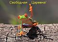 Нажмите на изображение для увеличения.

Название:	ормлолдлд.jpeg
Просмотров:	268
Размер:	66.5 Кб
ID:	3541349