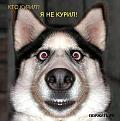 Нажмите на изображение для увеличения.

Название:	паспмс.jpeg
Просмотров:	264
Размер:	29.1 Кб
ID:	3541350