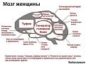 Нажмите на изображение для увеличения.

Название:	о женщинах рыбачках и не только.jpg
Просмотров:	323
Размер:	44.3 Кб
ID:	3541359