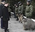 Нажмите на изображение для увеличения.

Название:	рпапар.jpeg
Просмотров:	285
Размер:	63.9 Кб
ID:	3541492