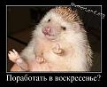 Нажмите на изображение для увеличения.

Название:	ёжик.jpg
Просмотров:	300
Размер:	46.7 Кб
ID:	3542150