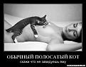 Нажмите на изображение для увеличения.

Название:	1282898569_8df9jh9ejo59 МР 7.jpg
Просмотров:	296
Размер:	32.9 Кб
ID:	3542221